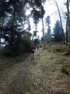 Trail du Petit Ballon - bergauf und bergauf