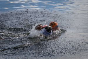 1. SwimRun Hof - Sprint, schwimmen