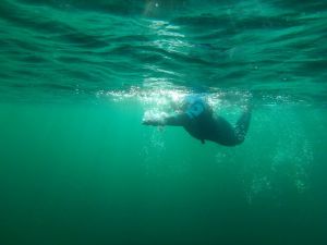 Kaltwasser - Foto: Swimrun Germany